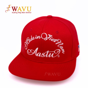 Nón Snapback 19
